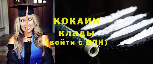 шишки Ельня