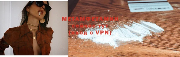 шишки Ельня
