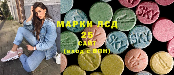 шишки Ельня