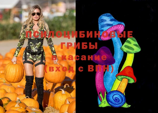 ешки Елизово