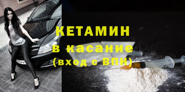 шишки Ельня