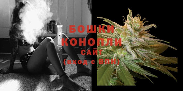 шишки Ельня