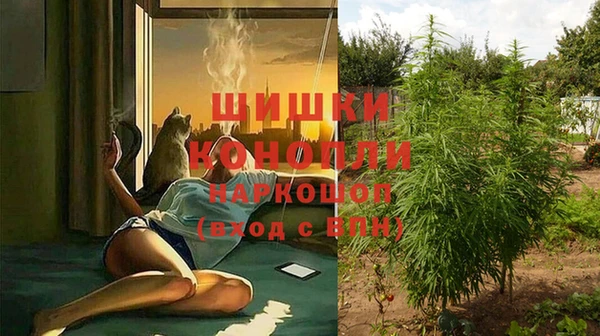 ешки Елизово