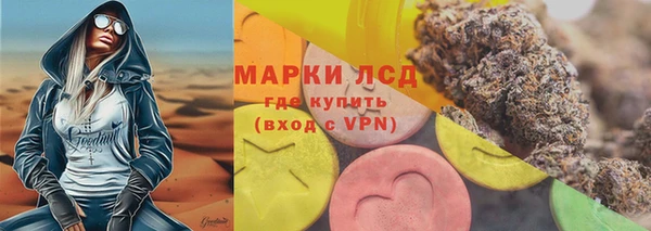 шишки Ельня