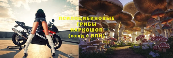 шишки Ельня