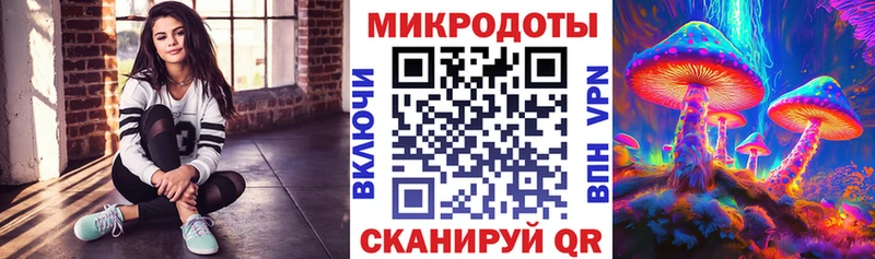 MEGA   Невинномысск  Псилоцибиновые грибы Psilocybine cubensis 